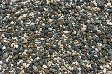 Close-up view of wet multicolored pebble as background.