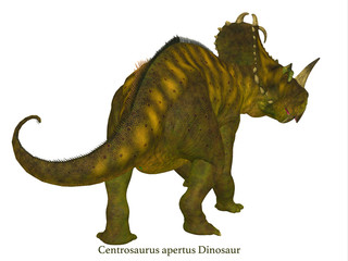 Centrosaurus Dinosaur Tail with Font