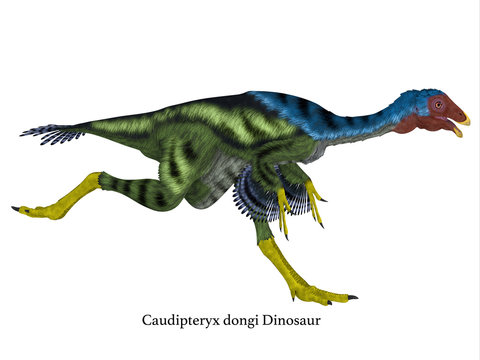 Caudipteryx Dinosaur Running with Font