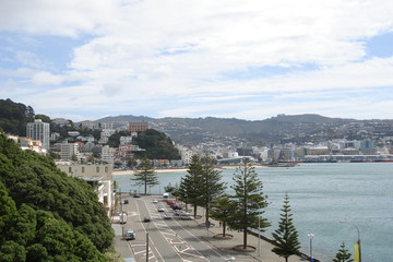 view of city and harbour