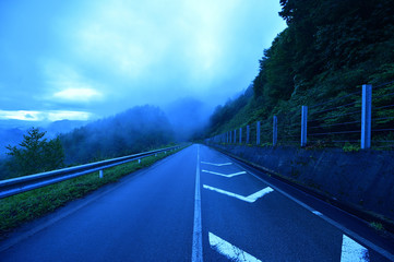 雨上がりの林道