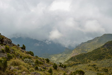 The foggy landscapes of Elephant Hill, Aberdare Ranges, Kenya