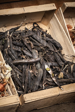 jardin potager organique l&eacute;gumes automne saison cabane jardinier