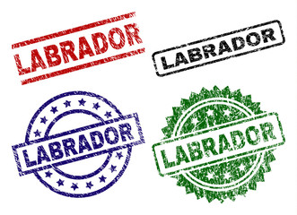 LABRADOR seal prints with damaged style. Black, green,red,blue vector rubber prints of LABRADOR title with retro style. Rubber seals with circle, rectangle, medallion shapes.