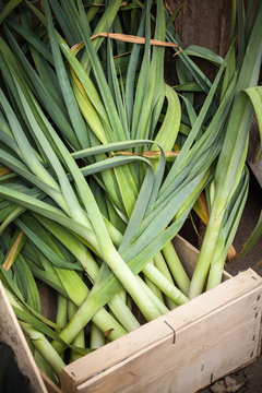 jardin potager organique l&eacute;gumes automne saison cabane jardinier