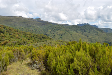 The foggy landscapes of Elephant Hill, Aberdare Ranges, Kenya