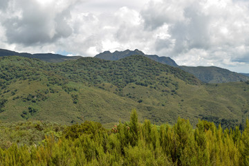 Fototapeta premium The foggy landscapes of Elephant Hill, Aberdare Ranges, Kenya
