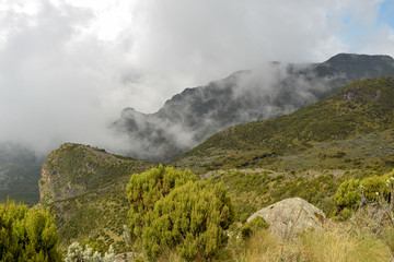 Fototapeta premium The foggy landscapes of Elephant Hill, Aberdare Ranges, Kenya