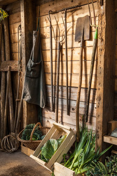 jardin potager organique l&eacute;gumes automne saison cabane jardinier