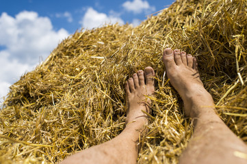 men's legs in the hay after harvest, hay agricultural with collected crops.