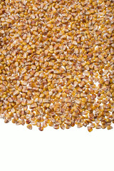 mature and ripe dried corn grain for storage and sowing shot close-up isolated on white background