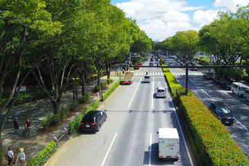 東京、代々木、表参道と信号機
