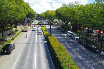 東京、代々木、表参道と信号機