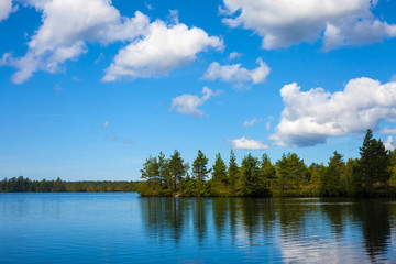 Fototapeta na wymiar Pine trees reflecting in the lake