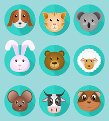 Pet icons flat set Creative vector illustration