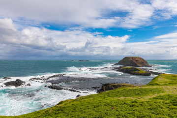 Stormy seas, Nobbies Point, Phillip Island, Victoria, Australia