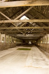 abandoned dairy barn