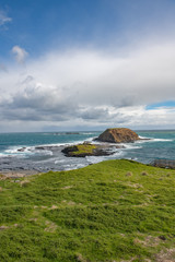 Phillip Island, Victoria, Australia, Nobbies Point