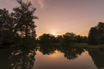 River and spring forest. Nature composition.