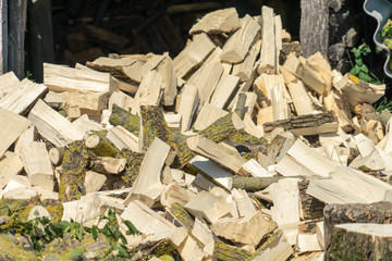 Firewood. Wood for heating and sauna. Place for your text.