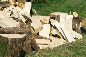 Firewood. Wood for heating and sauna. Place for your text.