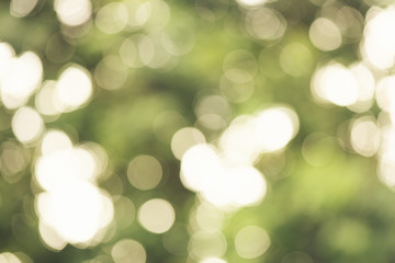 Obraz premium abstract bokeh blur green color for background