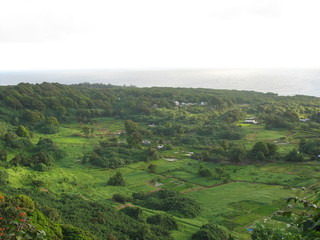 Fototapeta na wymiar Maui Valley 