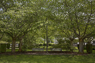 Isolated shaded view of two benches in a park, no sky, nobody