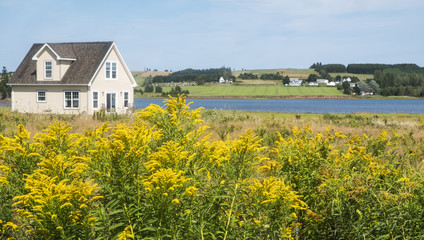 Beautiful Scenic View of a Little House by the Sea with Golden Rod in the Foreground and Farmland in the Background, Victoria By the Sea, Prince Edward Island, Canada