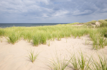 Bright Lit Sand Dunes and Green Grass Against Dark and Moody Sky and Ocean Near Greenwich Interpretive Centre PEI