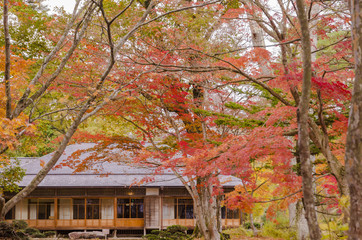 紅葉の福島県迎賓館
