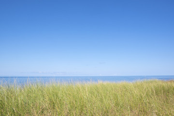 Tranquility on a Beach in Prince Edward Island