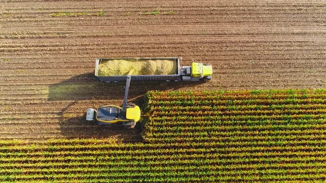 Breathtaking aerial view of farm machines harvesting corn in Autumn.
