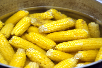 茹でているトウモロコシ