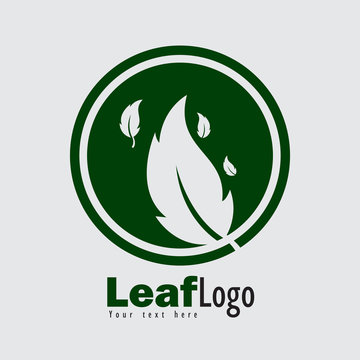 leaft logo vector illustration EPS 10