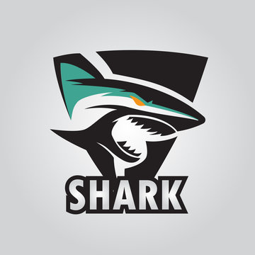 shark logo