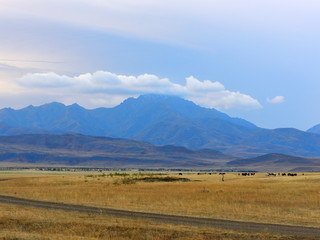 Fototapeta premium Kazakh steppe landscape in Altyn-Emel