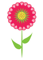 Single red flower, object isolated. Vector.