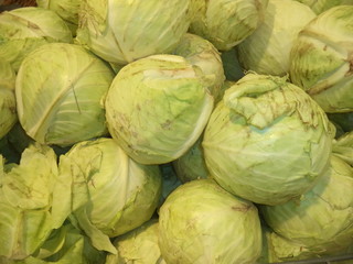 Fototapeta na wymiar new crop white cabbage