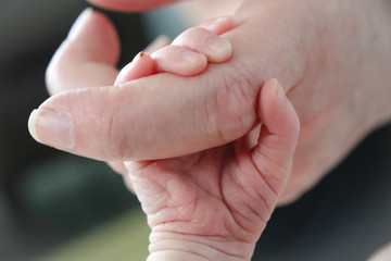 Close view of cute tiny baby hand gripping mothers fingers