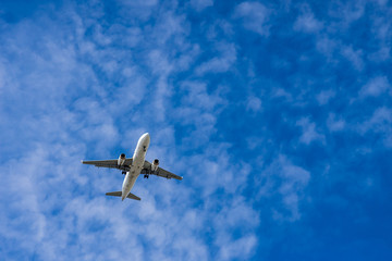 青空を往く飛行機