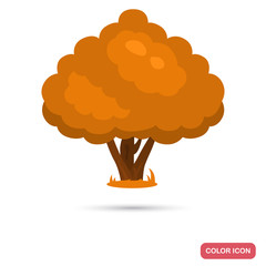 Autumn tree color flat icon
