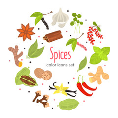 Different spices color flat icons set