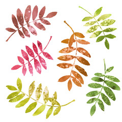 Watercolor set of bright autumn leaves