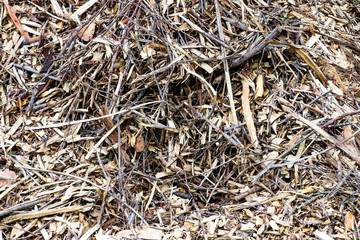 Various brown shades of wooden mulch texture with bark and lumber pieces