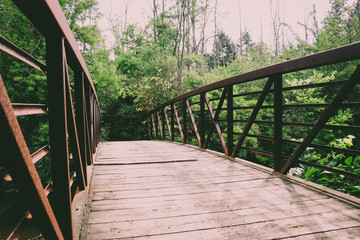 Fototapeta na wymiar Wooden bridge with iron railings covered with thick green brush to either side
