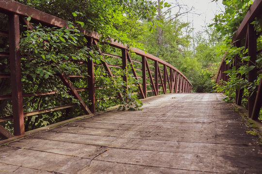 Wooden bridge with iron railings covered with thick green brush to either side