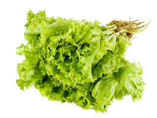 Fresh lettuce isolated on a white background,element of food healthy nutrients and herb vegetable ingredient concept