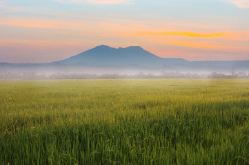 Fototapeta na wymiar Landscape view with paddy field and mountain while sunrise in the morning during winter in located tropical zone in Thailand.