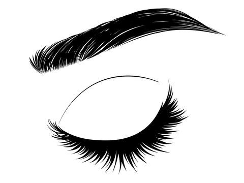 black eye with eyelashes and eyebrow clip art preview